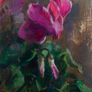 Oil painting of a pink Cyclamen flower