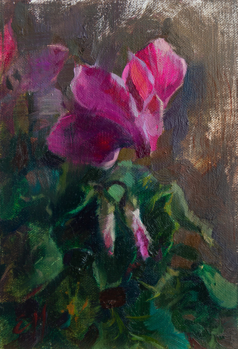 Cyclamen painting by Elena Morozova