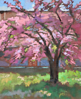 Pink blossoming apple tree and a house behind it, painted with oil