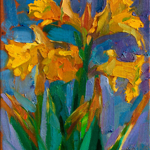 Oil sketch of yellow Daffodils on blue background