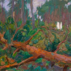 A fallen tree in the forest after the storm painted with oil on canvas