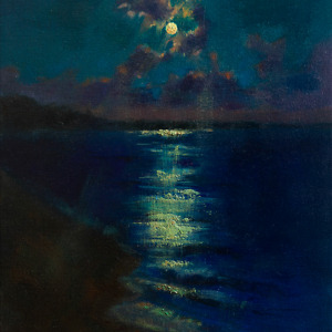 The sea illuminated by the soft glow of moonlight