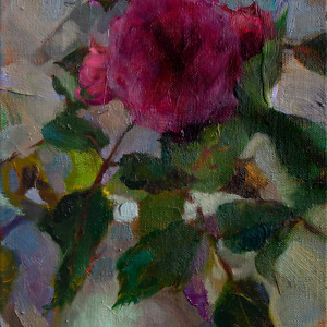 Pink rose study, painted with oil on canvas