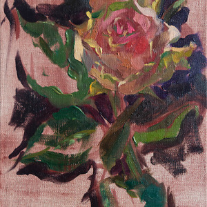 Oil sketch of a rose on a pink background