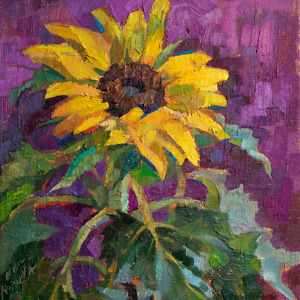 Bright sunflower on a dark magenta background, painted with oil on canvas